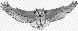Owl Line Art png download - 1026*400 - Free Transparent Owl png ...