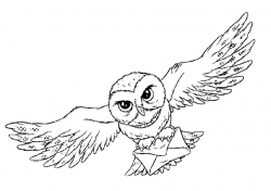 Snowy Owl Clipart Harry Potter Pencil And In Color Owl Clip Art - LowGif