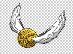 Harry Potter Quidditch Hogwarts Drawing PNG, Clipart, Art, Beak ...