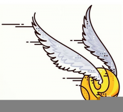 Harry Potter Quidditch Clipart | Free Images at Clker.com - vector ...
