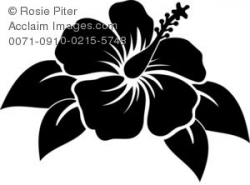 Silhouette of A Hibiscus Flower | Flower silhouette, Flower ...