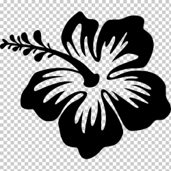 Silhouette Drawing Hibiscus, Hawaii flower, black Hibiscus ...