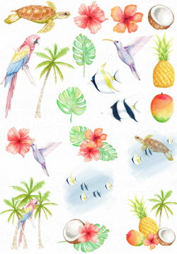 Tropical clipart/ hawaiian clipart/ turtle clipart/ summer ...