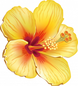 Hawaii clipart tropical, Hawaii tropical Transparent FREE ...
