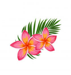 Hawaiian Clipart Vector Images (over 110)