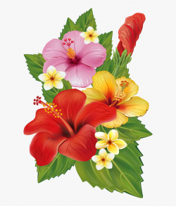 Png Hawaiian Flowers - Transparent Background Tropical ...