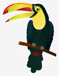 Hawaiian Clipart Tropical Bird - Tropical Bird Clip Art ...