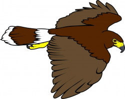 Kisspng Drawing Line Art Cartoon Clip Hawk Clipart ...