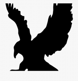 Download for free 10 PNG Hawk clipart cool top images at ...