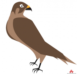 Hawk clipart 2 - WikiClipArt