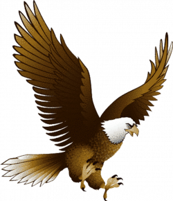 Cartoon hawk clipart clip art library - Cliparting.com