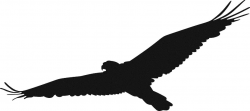 Top hawk clip art at vector hawks clipart photos ...