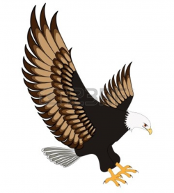 Red tailed hawk clipart free images 2 - WikiClipArt