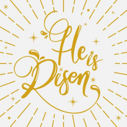 He is Risen Modern Calligraphy Vector - Download Free ...