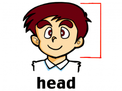 Body clipart head, Body head Transparent FREE for download ...