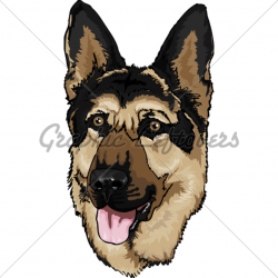 German Shepherd Head · GL Stock Images