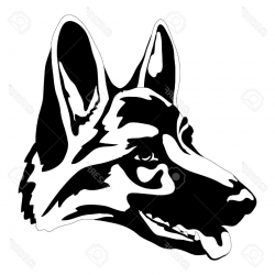 German Shepherd Head Drawing | Free download best German ...