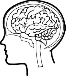 Free Brain Cliparts Transparent, Download Free Clip Art ...