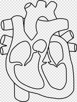 Download for free 10 PNG Black and white heart clipart ...