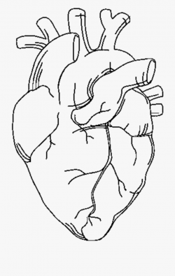 Download for free 10 PNG Black and white heart clipart ...