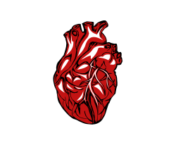 real heart png clipart transparent without background image ...