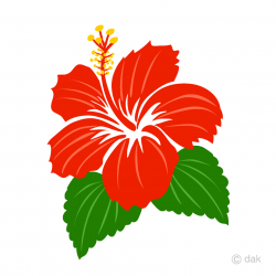 Free Simple Red Hibiscus Clipart Image｜Illustoon