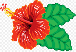 Hawaiian Flower clipart - Flower, Hibiscus, transparent clip art