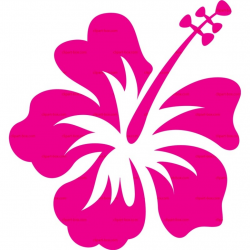 Hibiscus clipart bay - Cliparting.com