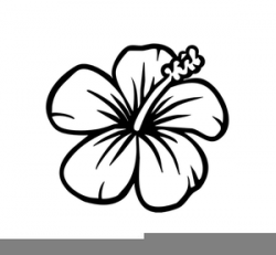 Hibiscus Clipart Black And White | Free Images at Clker.com ...