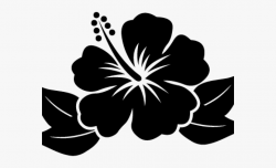 Hibiscus Clipart December Flower - Hawaiian Flower Cartoon ...