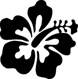 Hibiscus Flower Clipart Black And White Hibiscus Clip Art At ...