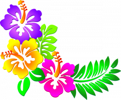 Hawaiian Clip Art Borders | hibiscus corner clip art ...