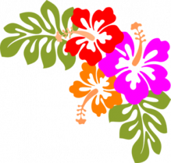 Free Hibiscus Frame Cliparts, Download Free Clip Art, Free ...