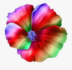 flower #tropical #hawaiian #island #flowers #colors ...