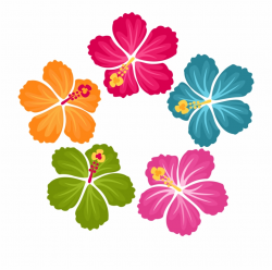 Download for free 10 PNG Hibiscus clipart colorful top ...