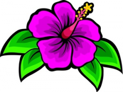 Hibiscus clipart colorful, Hibiscus colorful Transparent ...