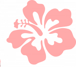 Coral Hibiscus Clip Art at Clker.com - vector clip art ...