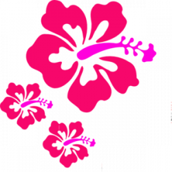Coral Hibiscus clip art | Mailee | Hibiscus clip art, Flower ...