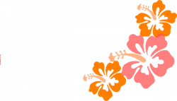 Coral Hibiscus Clip Art at Clker.com - vector clip art ...