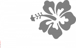 Coral Hibiscus PNG, SVG Clip art for Web - Download Clip Art ...