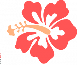 Coral Hibiscus Clip Art at Clker.com - vector clip art ...