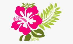 Flowers Borders Clipart Hibiscus - Pink Hibiscus Flower ...