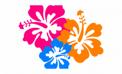 Hawaiian Flowers Cartoon - Hibiscus Flowers Clip Art ...