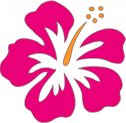 Hibiscus Flower Clipart - Clipart Kid | Hibiscus clip art ...
