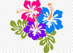 Hawaii Yellow Hibiscus Clip Art, PNG, 594x599px, Hawaii ...