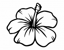 Flowers Silhouette - Chinese Hibiscus, Transparent Png ...