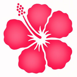 Shading with stencils | Hibiscus drawing, Flower template ...