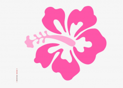 Simple Hawaiian Flower Drawing - Hibiscus Clip Art PNG Image ...