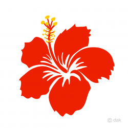 Free Red Hibiscus Flower Clipart Image｜Illustoon