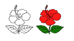 Simple Hibiscus Drawing | Free download best Simple Hibiscus ...